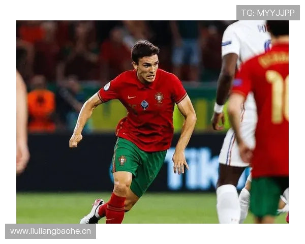 帕利尼亚：从边缘到主力的地位跃升解析